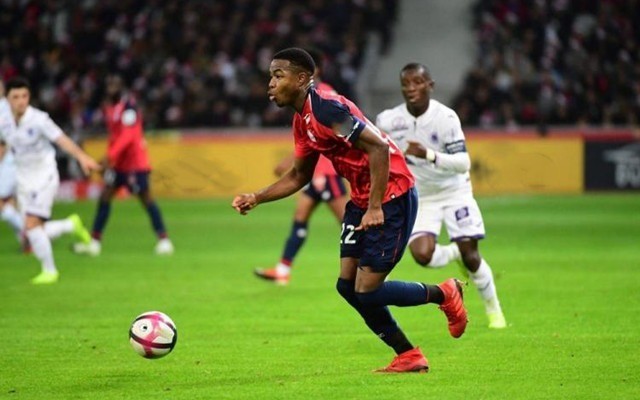 裁判尺度不 裁判尺度不